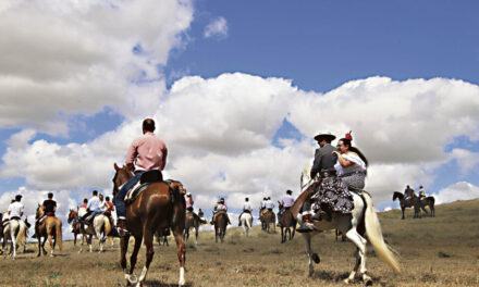 Medina de Rioseco inicia esta tarde su XIV edición de la Feria del Caballo