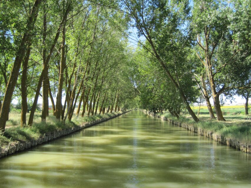 Teresa Perales, Diego Fernández Magdaleno y Juan Antonio Simarro inaugurarán el congreso ‘Agua, arte y vida. Canal de Castilla’