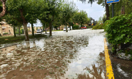 El alcalde de  Medina de Rioseco convoca  pleno de carácter urgente para la deliberación y aprobación de solicitud de zona catastrófica