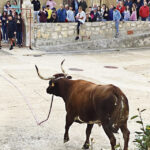 Palazuelo inicia sus fiestas de San Mauricio esta tarde