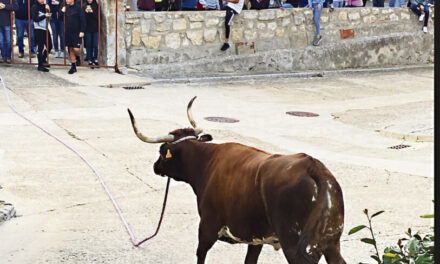 Palazuelo inicia sus fiestas de San Mauricio esta tarde