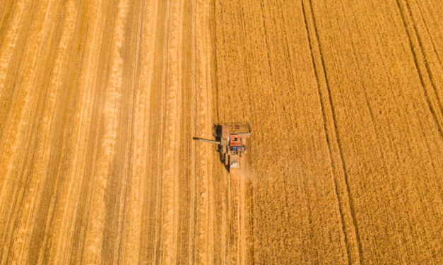 La Junta lanzará una batería de medidas para que el sector agrario sea más competitivo