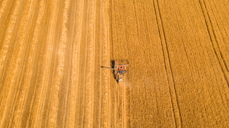 La Junta lanzará una batería de medidas para que el sector agrario sea más competitivo