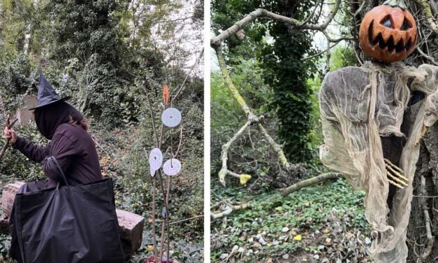 ‘El Bosque Encantado’, de Valoria del Alcor, seleccionado a ser el bosque urbano de 2025