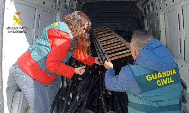 La Guardia Civil desarticula un grupo criminal que sustraía cable aéreo de cobre en Peñaflor de Hornija y Castromonte