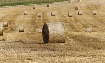 Más de 63 millones para el plan Tierra de Campos e impulsar la industrialización