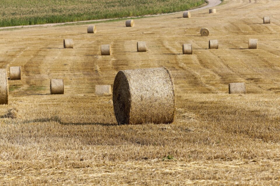 Más de 63 millones para el plan Tierra de Campos e impulsar la industrialización