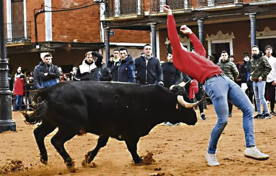 Villalpando inicia hoy las fiestas de la Purísima