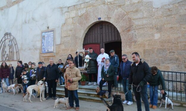 Las mascotas reciben a bendición de San Antón en San Pedro de Latarce