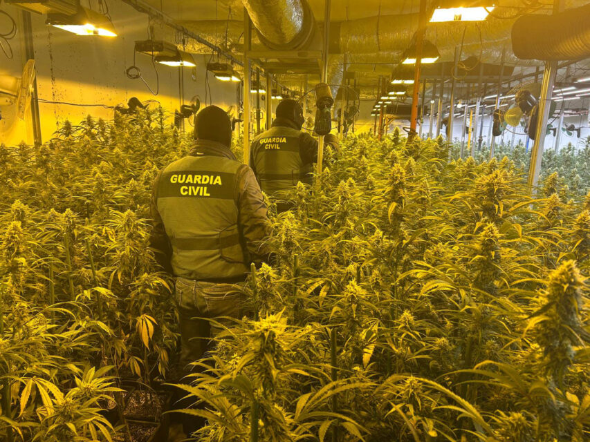 La Guardia Civil desmantela una plantación de marihuana en el interior de una nave en Tordehumos